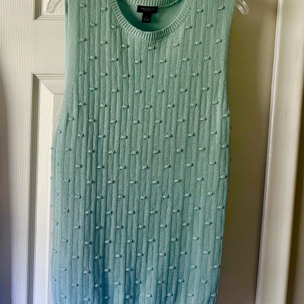 Ann Taylor Factory Soft Mint Sweater